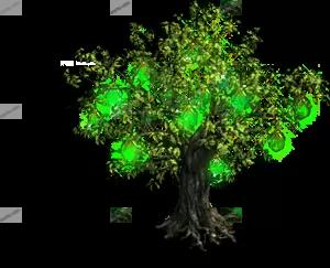 00250.webp