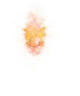 00002.webp
