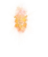 00004.webp