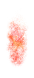 00000.webp